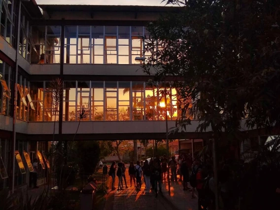 icea_by Daniel Rodrigues