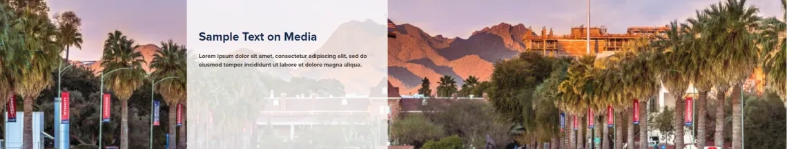 texto sobre midia - exemplo